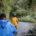 ブルー マウンテン サイクリング ツアー　Blue Mountain Bicycle Tours