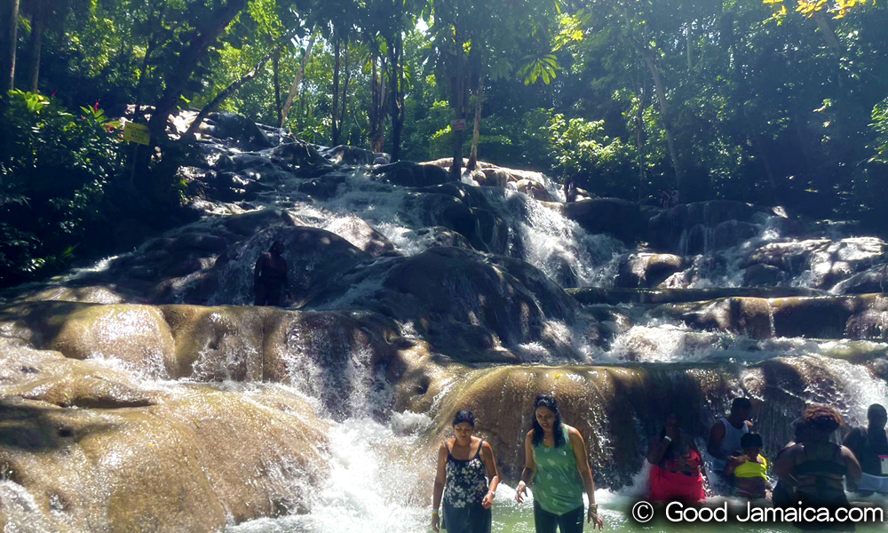 ダンズ・リバー・フォールズ ＆ パーク　Dunn's River Falls & Park