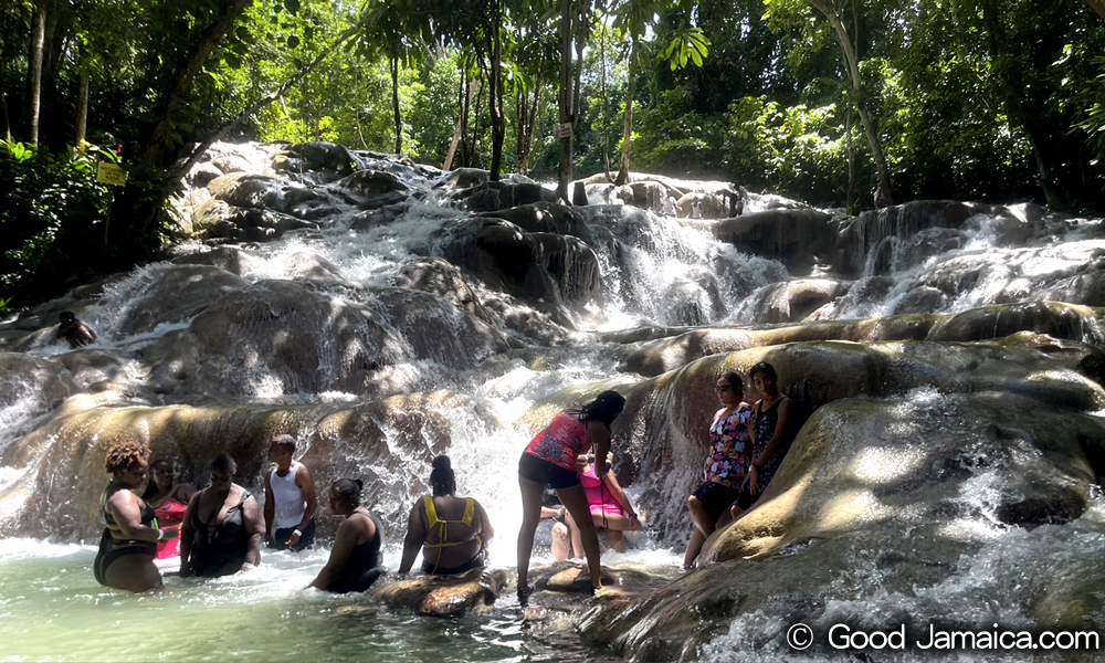 ダンズ・リバー・フォールズ ＆ パーク　Dunn's River Falls & Park