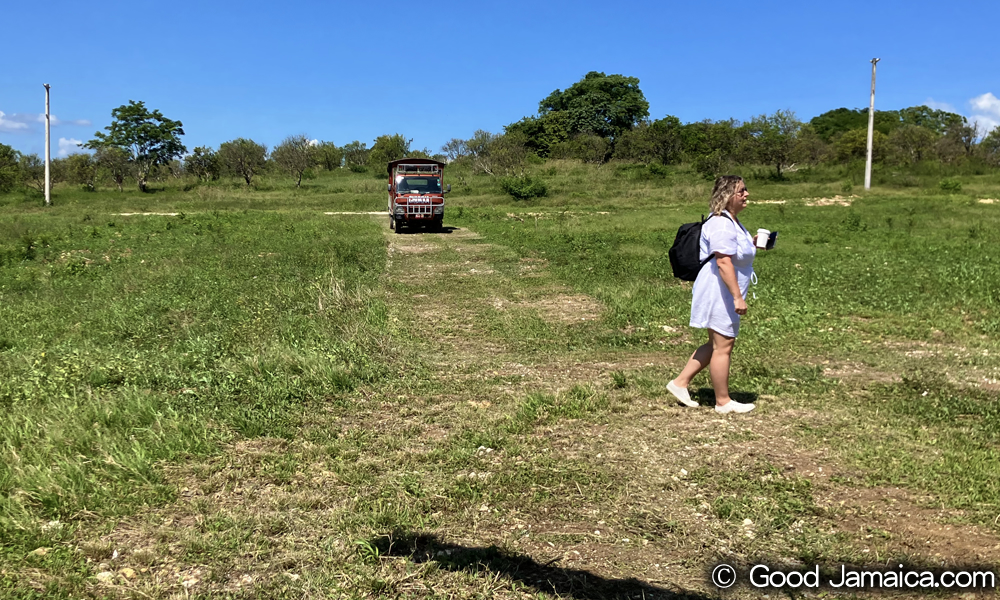 ジャマイカ プレミアム ヘリコプター サービス　JAMAICA'S PREMIER HELICOPTER SERVICE