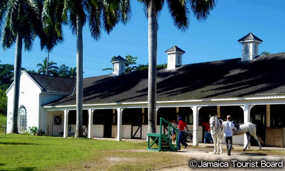 ハーフムーン・乗馬センター　Half Moon Equestrian Centre